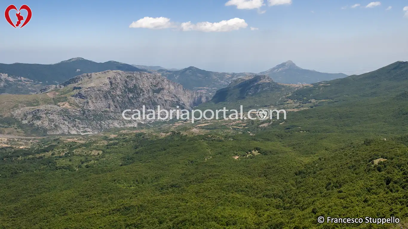 Il Bosco della Fagosa visto dalla Serra delle Ciavole Il Bosco della Fagosa visto dalla Serra delle Ciavole