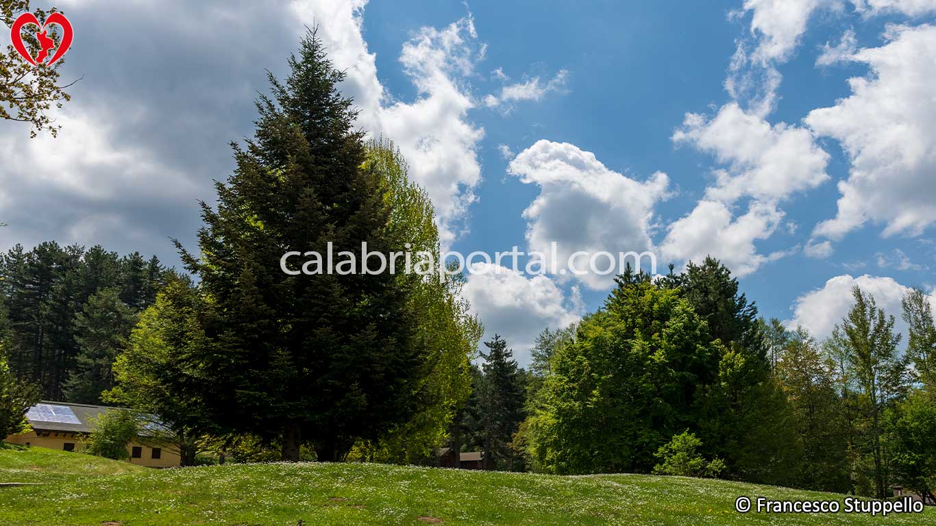 Parco Nazionale della Sila: Centro Visite Cupone Parco Nazionale della Sila: Centro Visite Cupone