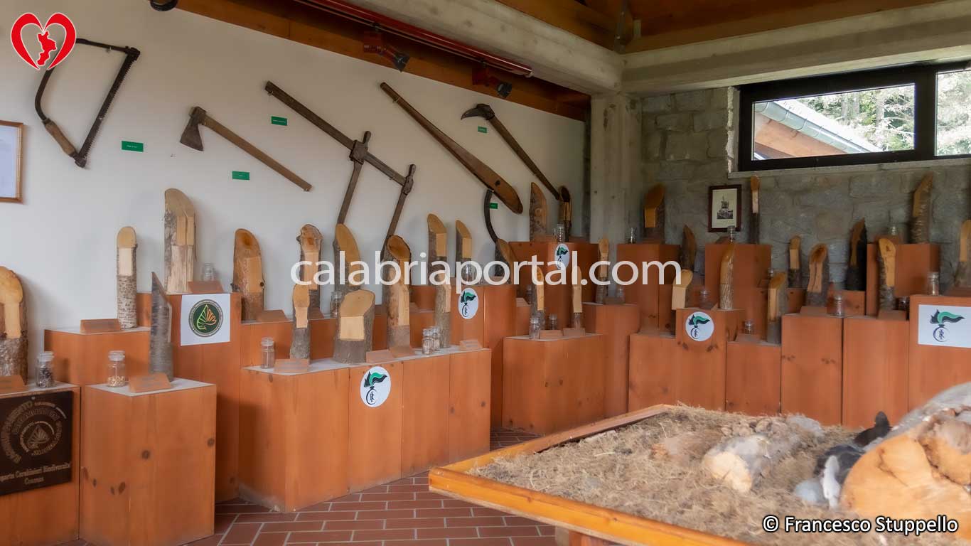 Museo Naturalistico del Parco Nazionale della Sila Museo Naturalistico del Parco Nazionale della Sila