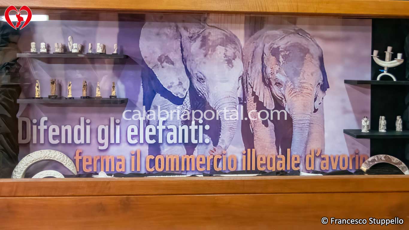 Museo Naturalistico del Parco Nazionale della Sila Museo Naturalistico del Parco Nazionale della Sila