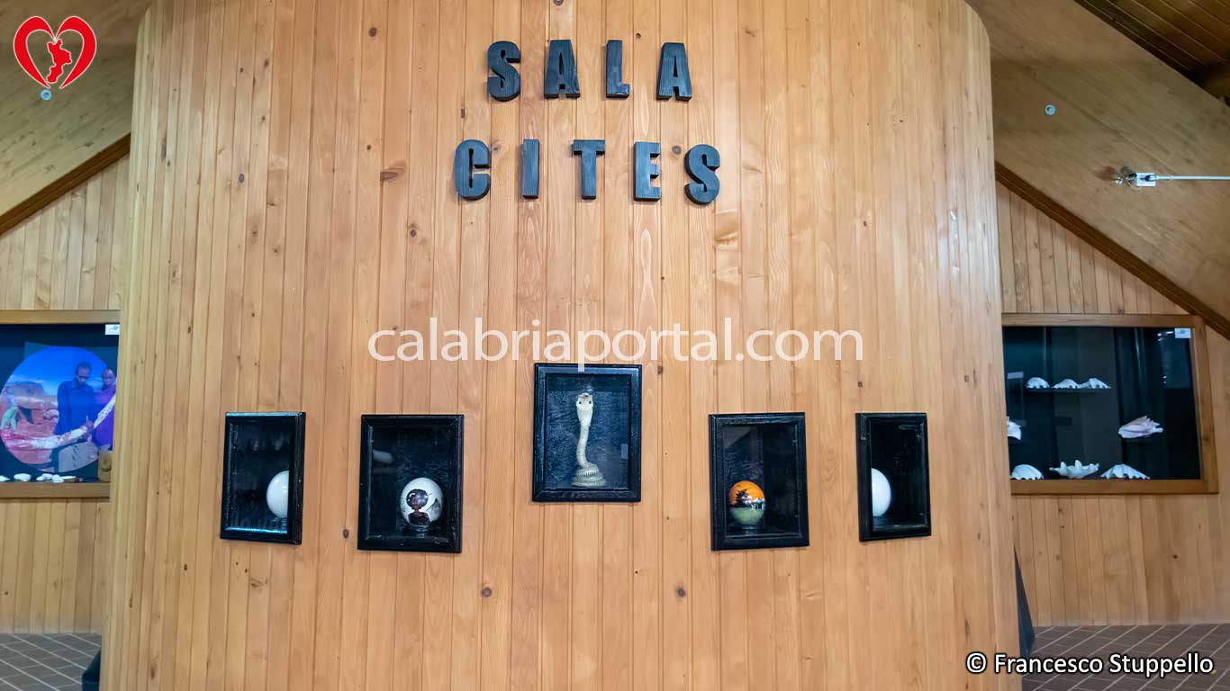 Museo Naturalistico del Parco Nazionale della Sila Museo Naturalistico del Parco Nazionale della Sila