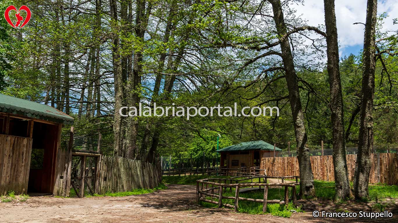 Recinti Faunistici del Centro Visita di Cupone: Parco Nazionale della Sila Recinti Faunistici del Centro Visita di Cupone: Parco Nazionale della Sila