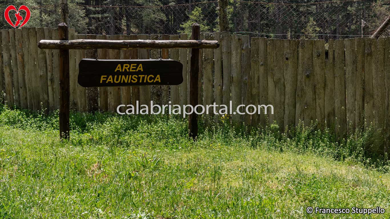 Recinti Faunistici del Centro Visita di Cupone: Parco Nazionale della Sila Recinti Faunistici del Centro Visita di Cupone: Parco Nazionale della Sila