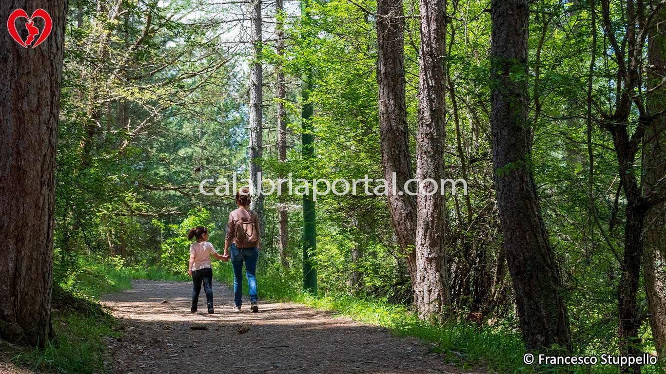 Sentieri Naturalistici del Parco Nazionale della Sila Sentieri Naturalistici del Parco Nazionale della Sila