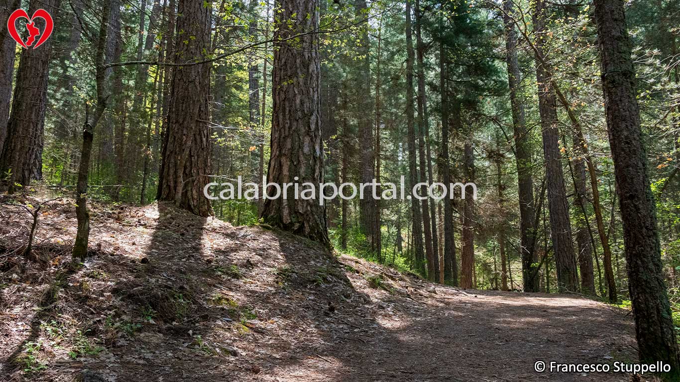 Sentieri Naturalistici del Parco Nazionale della Sila Sentieri Naturalistici del Parco Nazionale della Sila