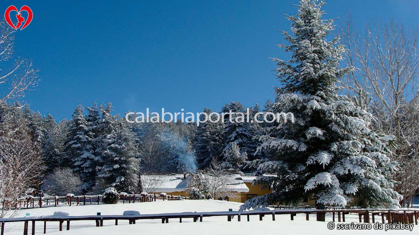 Parco Nazionale della Sila: il Centro Visita Cupone Innevato Parco Nazionale della Sila: il Centro Visita Cupone Innevato