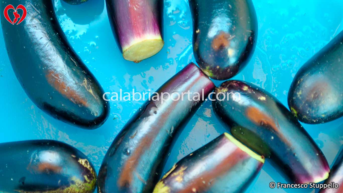 Ricetta delle Melanzane Intere Sott'olio alla Calabrese - le Melanzane Ricetta delle Melanzane Intere Sott'olio alla Calabrese - le Melanzane