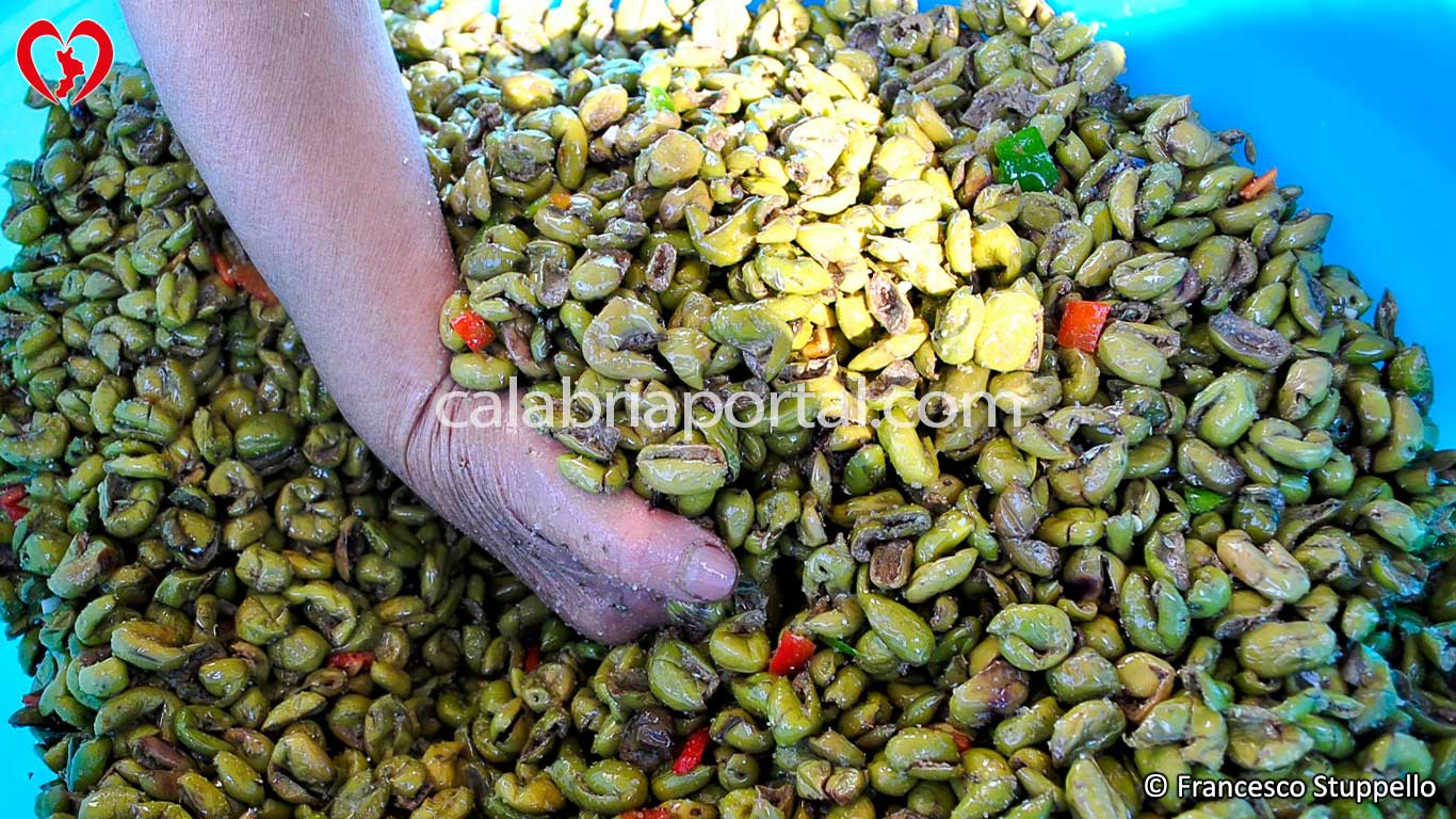 Ricetta delle Olive Schiacciate Sott'Olio alla Calabrese: Amalgamare gli Aromi Ricetta delle Olive Schiacciate Sott'Olio alla Calabrese: Amalgamare gli Aromi