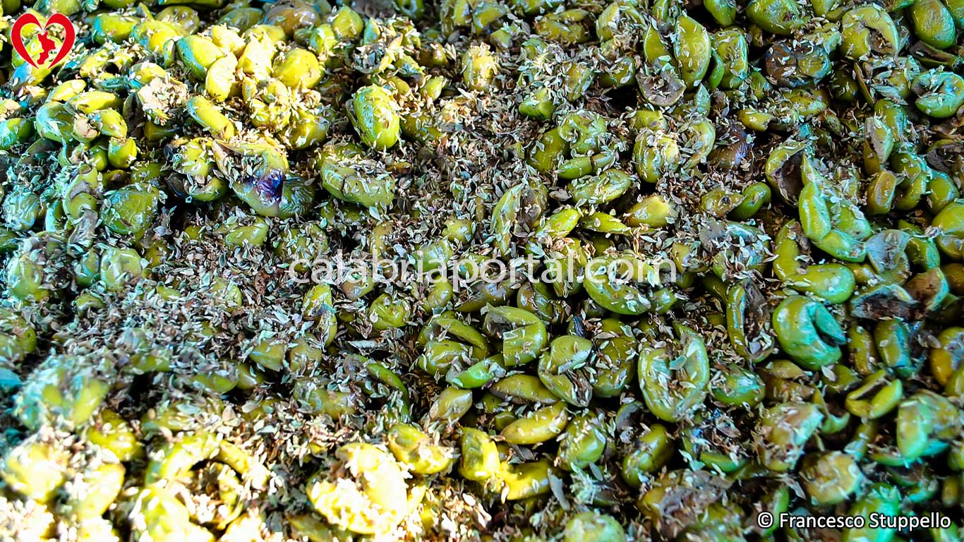 Ricetta delle Olive Schiacciate Sott'Olio alla Calabrese: Origano Selvatico Ricetta delle Olive Schiacciate Sott'Olio alla Calabrese: Origano Selvatico