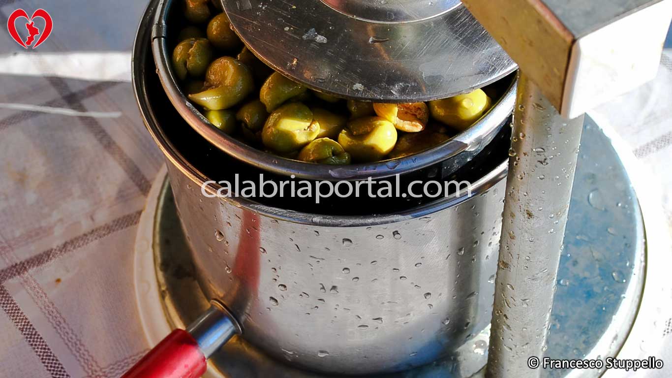 Ricetta delle Olive Schiacciate Sott'Olio alla Calabrese: il Torchietto Ricetta delle Olive Schiacciate Sott'Olio alla Calabrese: il Torchietto