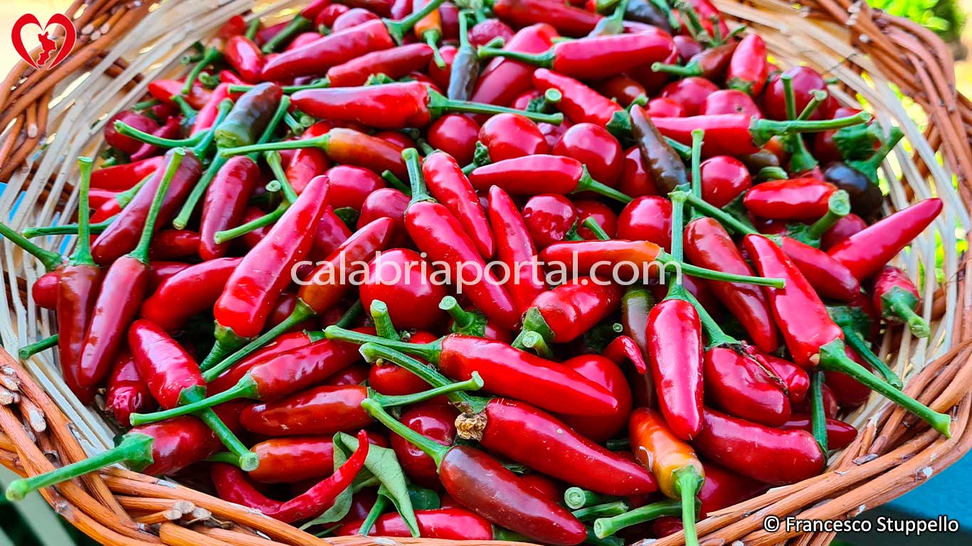 Ricetta dei Peperoncini Sotto Aceto alla Calabrese: i Peperoncini