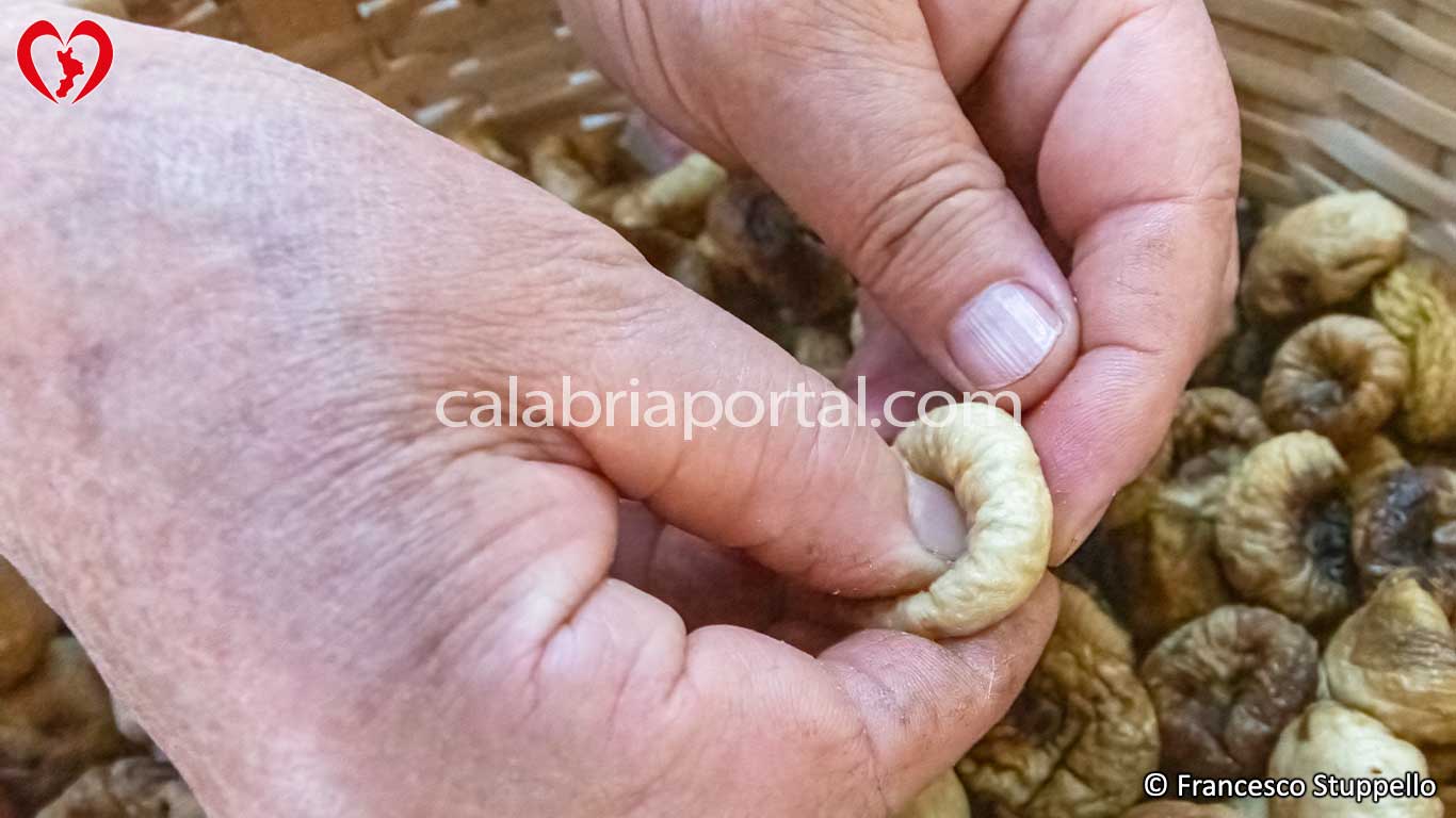 Schiacciare leggermente il fico per la corolla di fichi secchi Schiacciare leggermente il fico per la corolla di fichi secchi