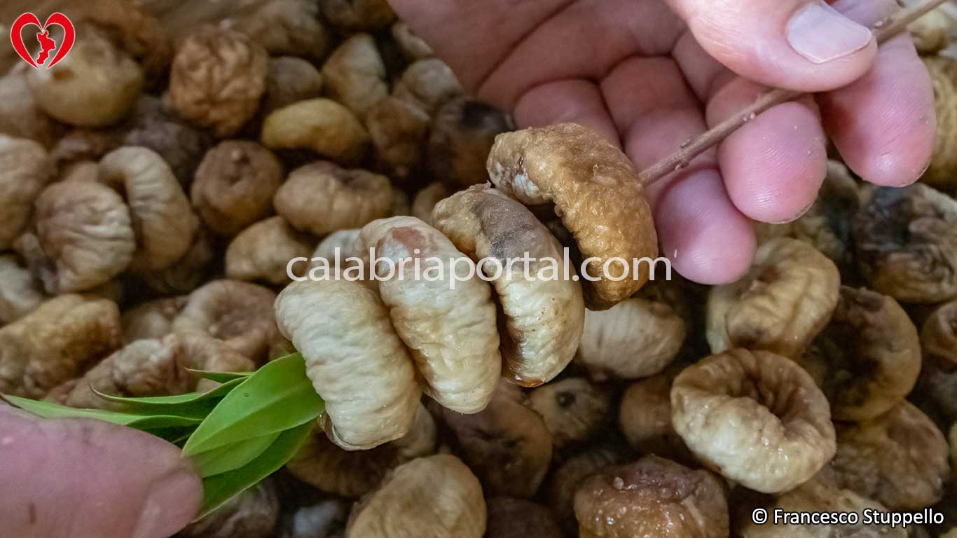 Infilate i fichi lungo il rametto di mirto Infilate i fichi lungo il rametto di mirto