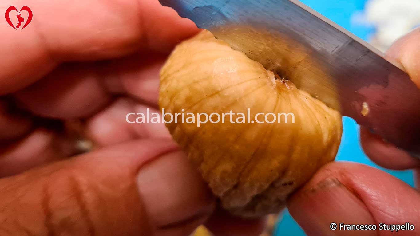Ricetta dei Fichi a Crocette alla Calabrese: aprite il frutto Ricetta dei Fichi a Crocette alla Calabrese: aprite il frutto