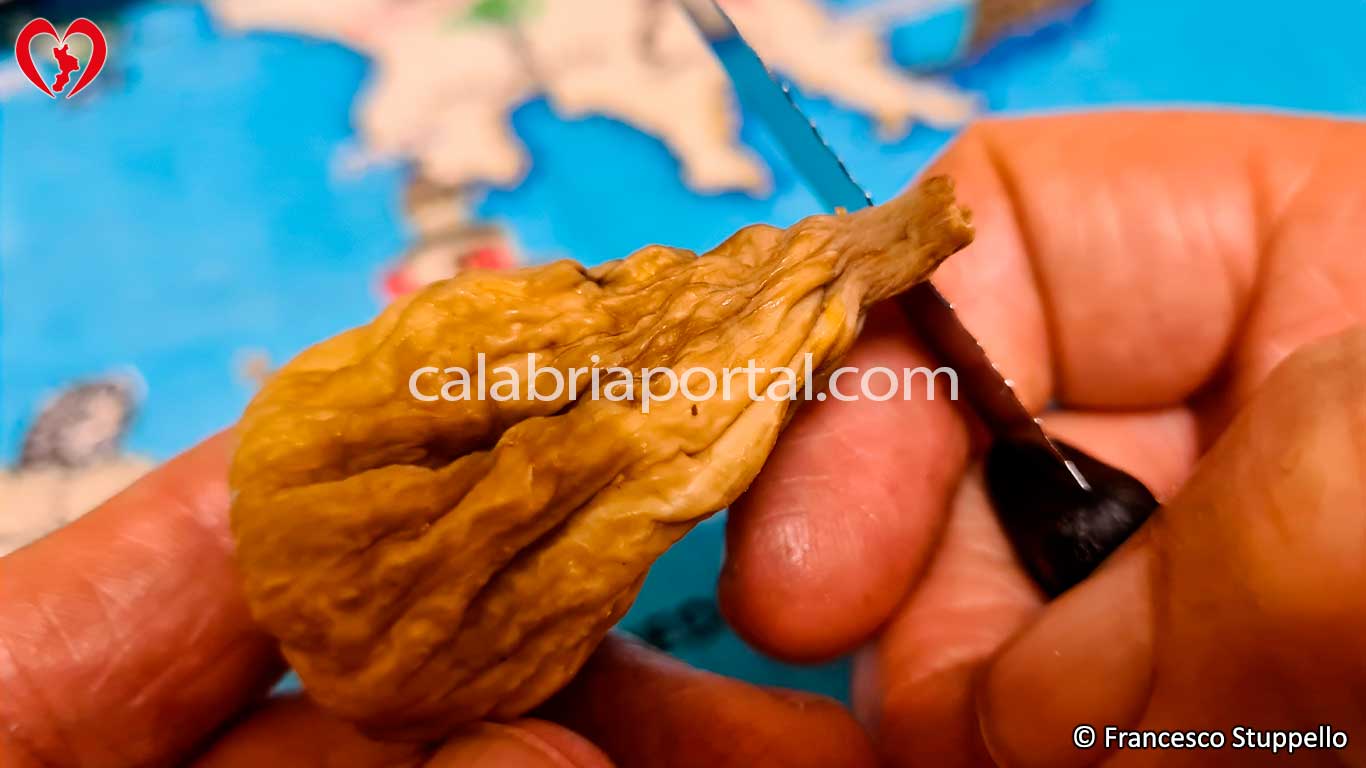 Ricetta dei Fichi a Crocette alla Calabrese: asportate il picciolo dal frutto Ricetta dei Fichi a Crocette alla Calabrese: asportate il picciolo dal frutto
