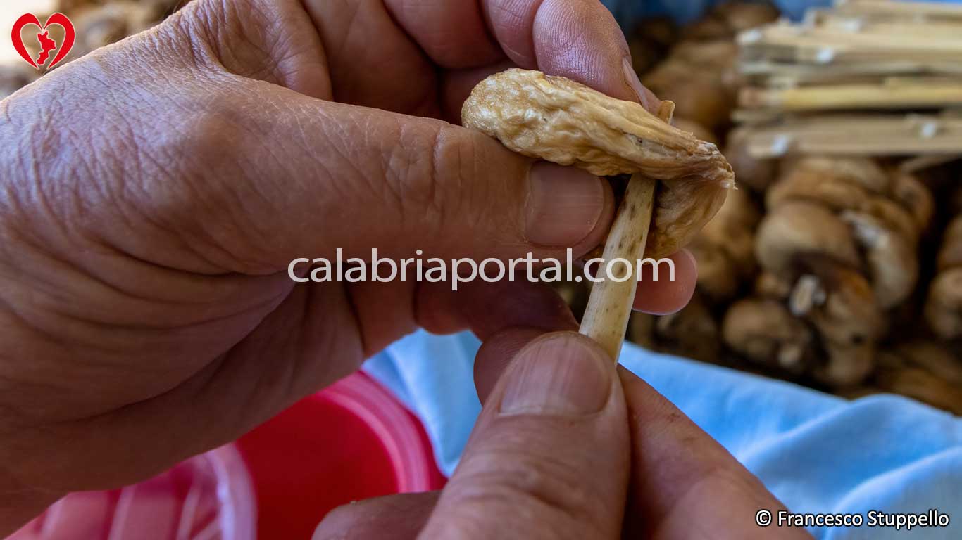 Ricetta per i Fichi Secchi a Treccia: Infilzare il primo fico Ricetta per i Fichi Secchi a Treccia: Infilzare il primo fico