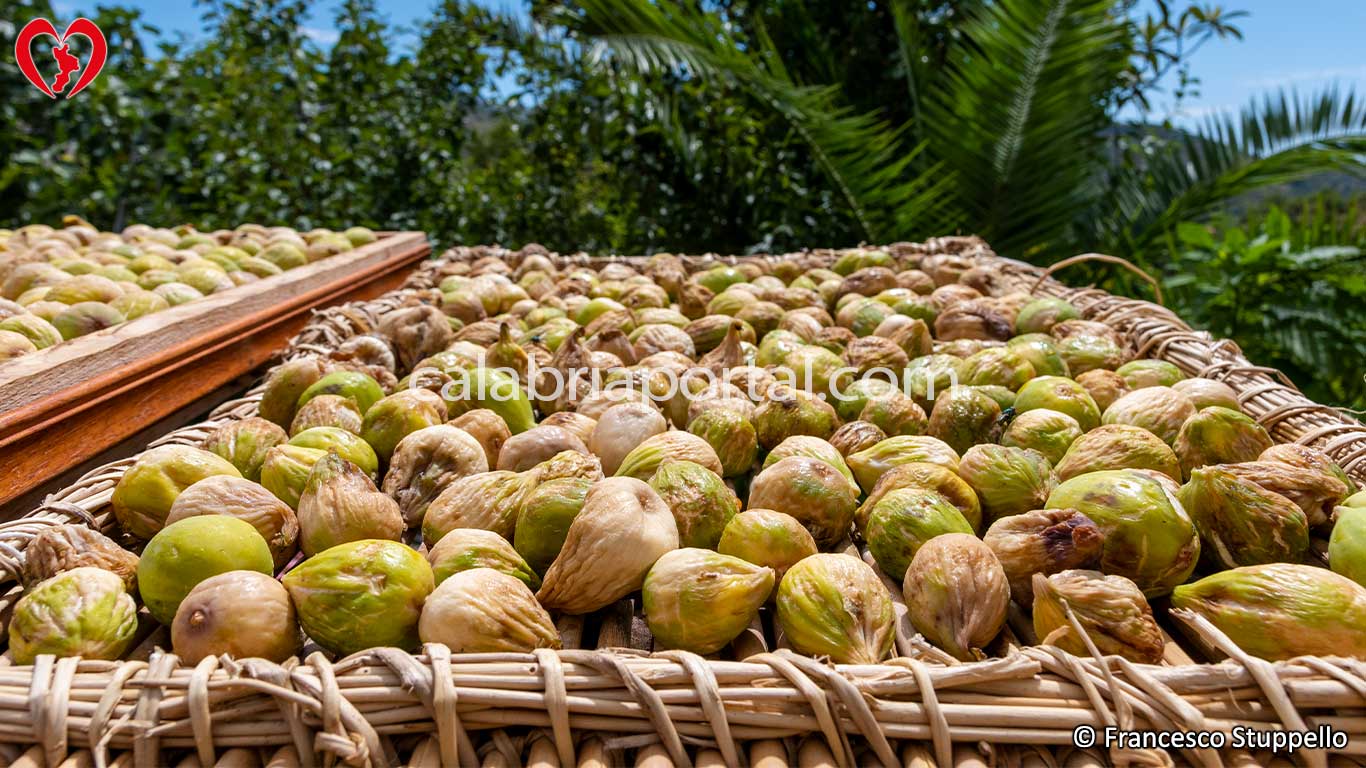 Fichi calabresi posti ad essiccare sul graticcio Fichi calabresi posti ad essiccare sul graticcio
