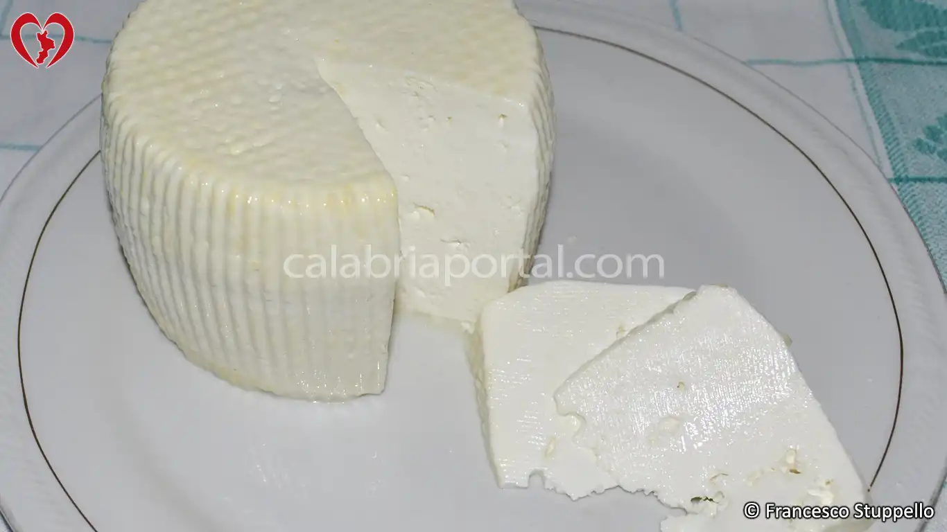 Cacioricotta Calabrese gustato fresco Cacioricotta Calabrese gustato fresco