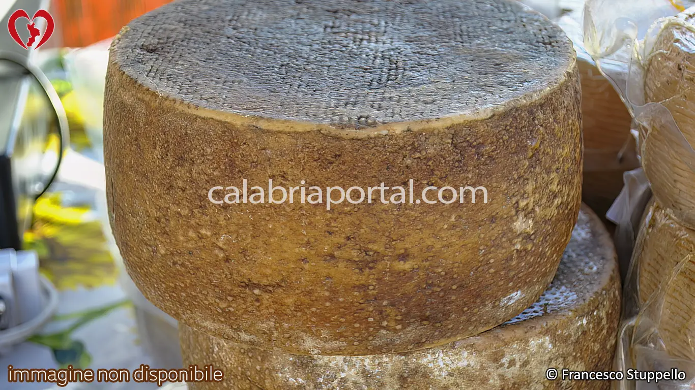 Pecorino della Vallata Stilaro - Allaro