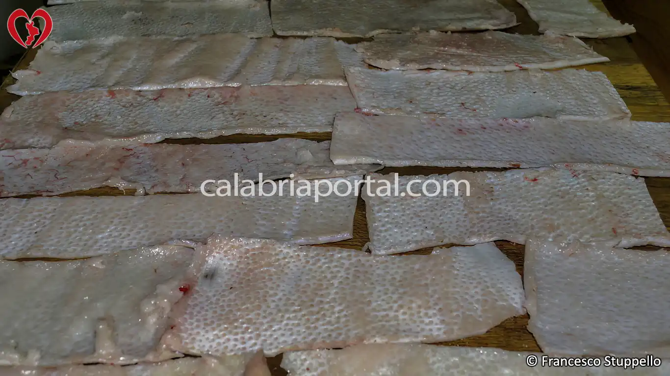 Braciole di Cotiche di Maiale alla Calabrese