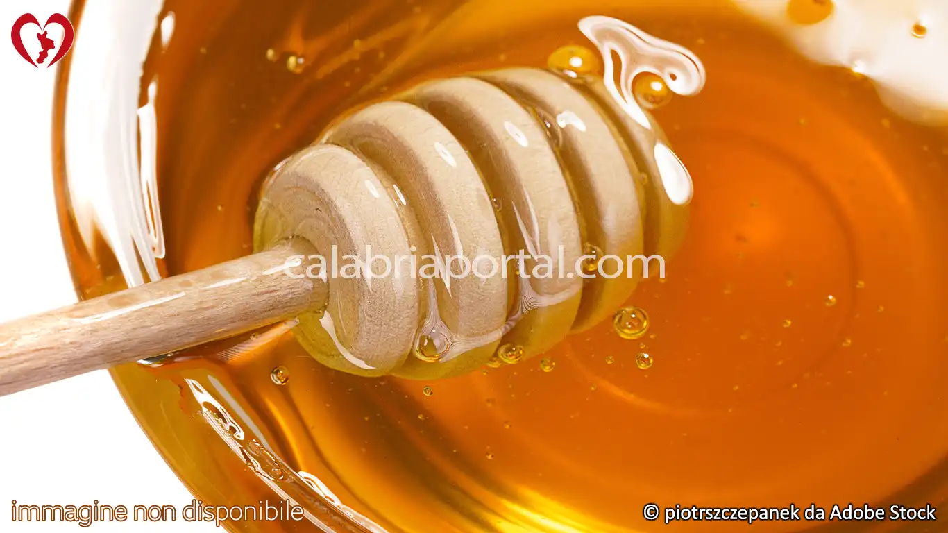 Il Miele Calabrese di Arancio Il Miele Calabrese di Arancio