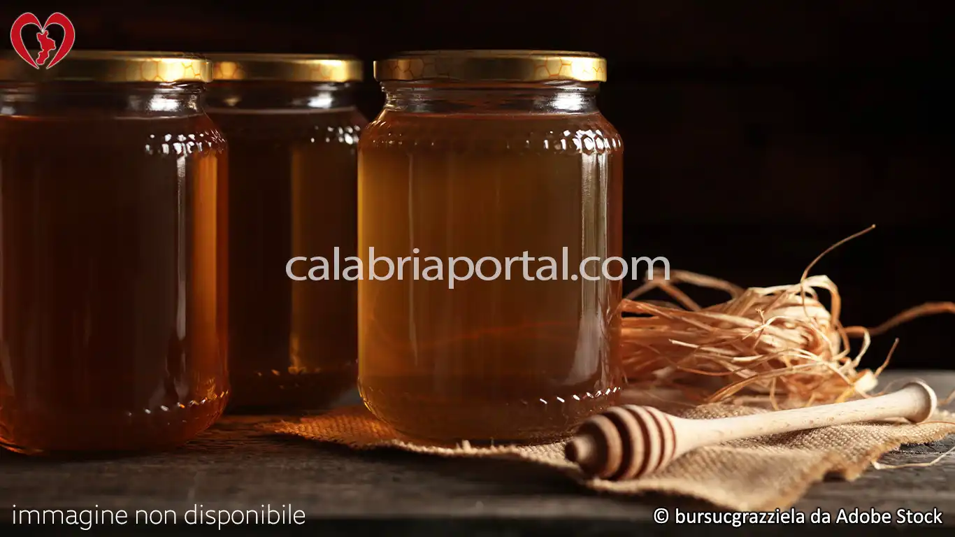 Il Miele Calabrese di Castagno