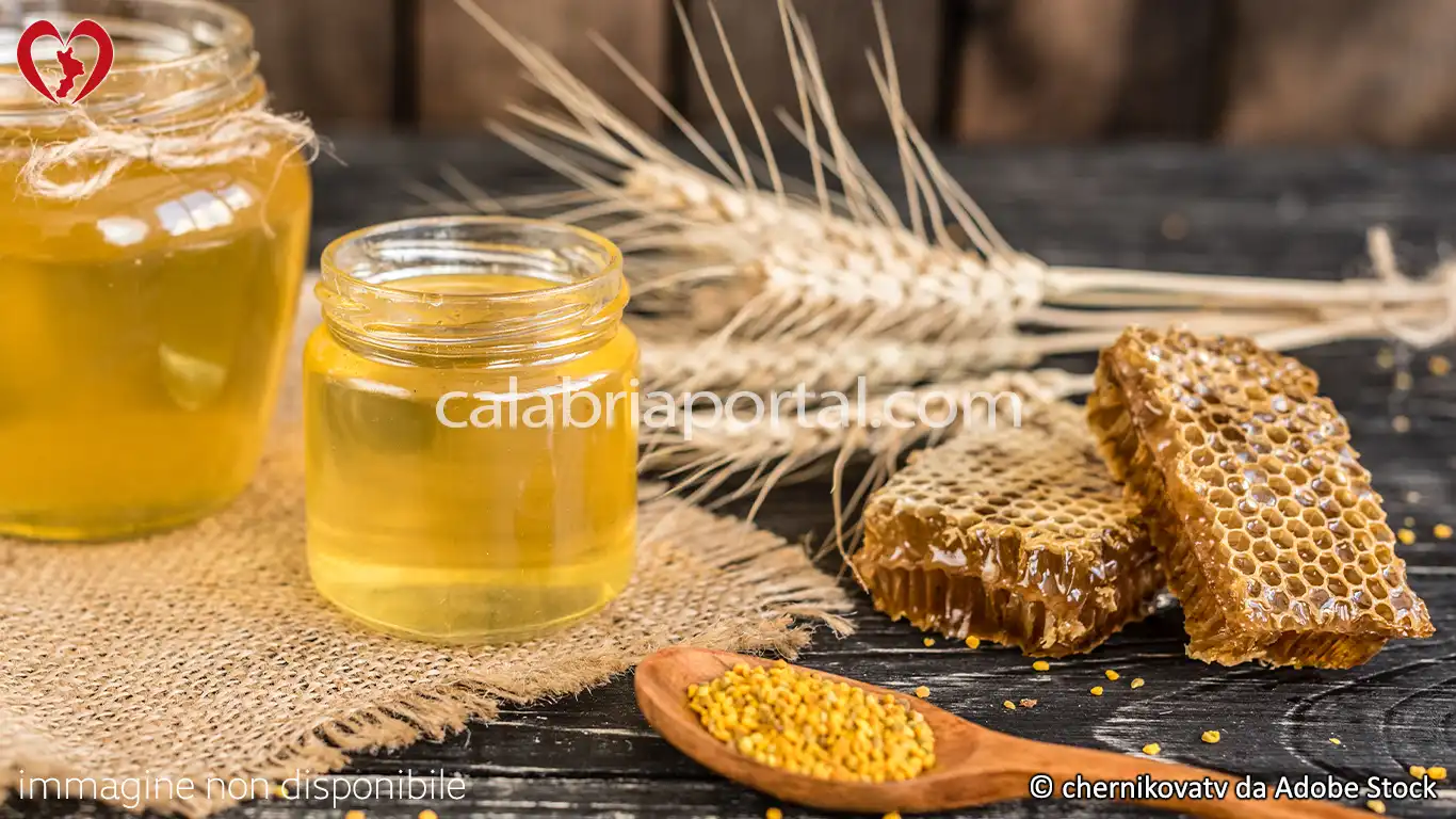 Il Miele Calabrese di Acacia