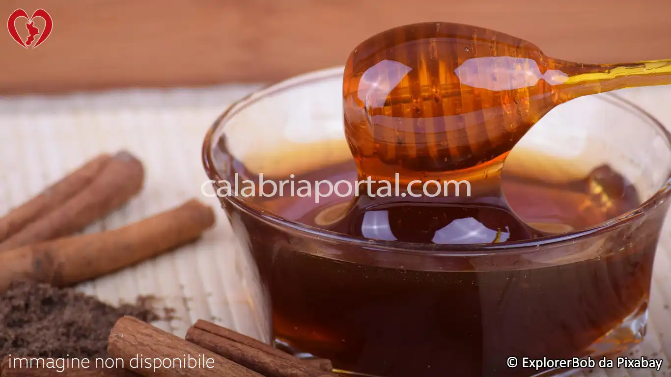 Il Miele Calabrese di Melata di Abete