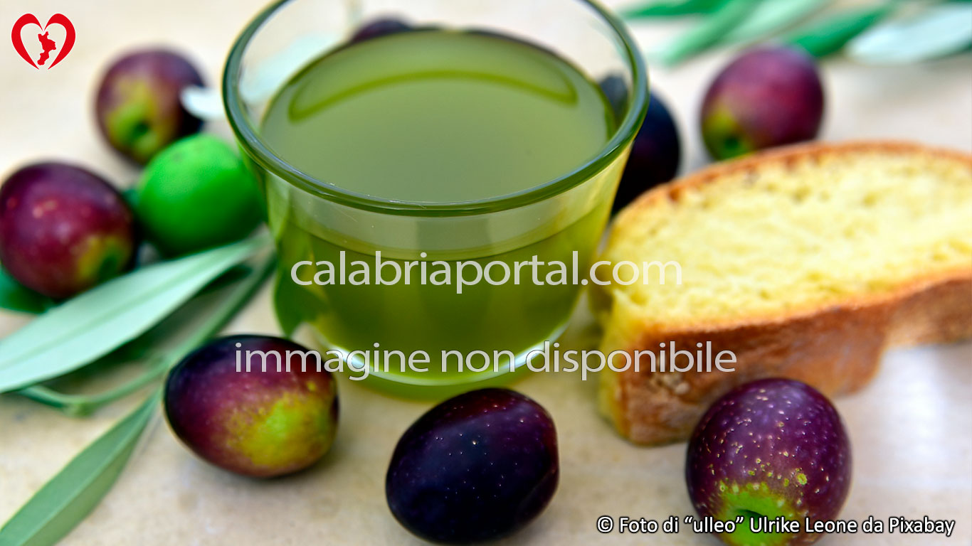 Olio Extravergine di Oliva di Calabria IGP Olio Extravergine di Oliva di Calabria IGP