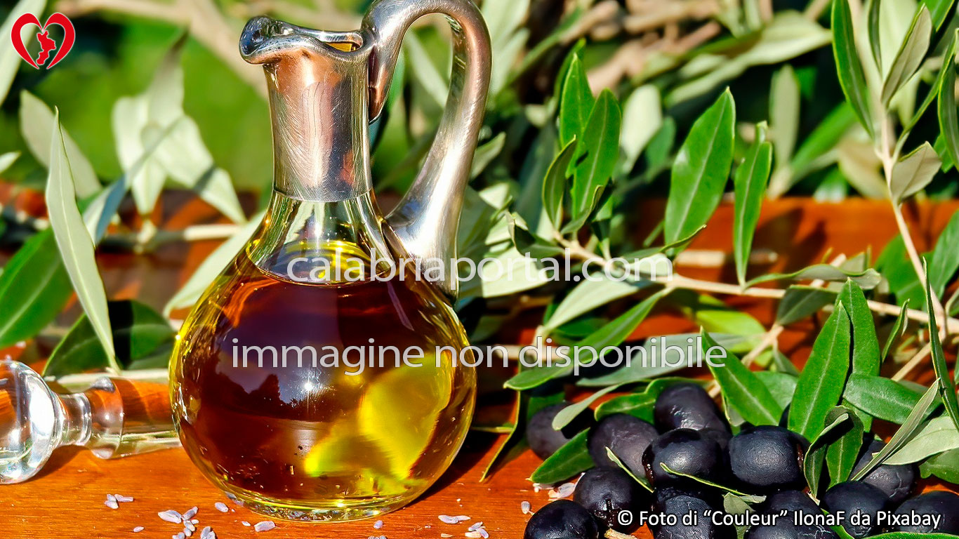 Olio Extravergine di Oliva Bruzio DOP Fascia Prepollinica Olio Extravergine di Oliva Bruzio DOP Fascia Prepollinica