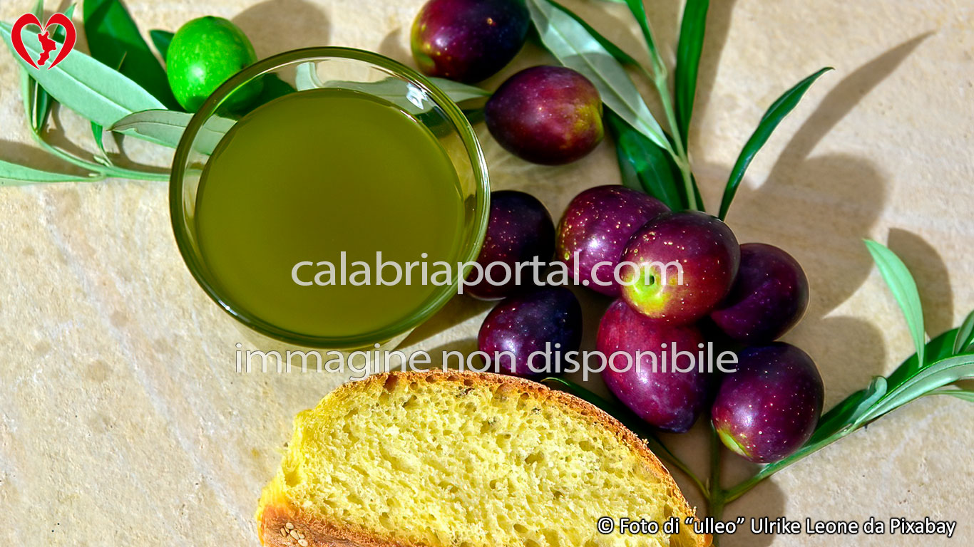L'Olio Extravergine di Oliva Calabrese