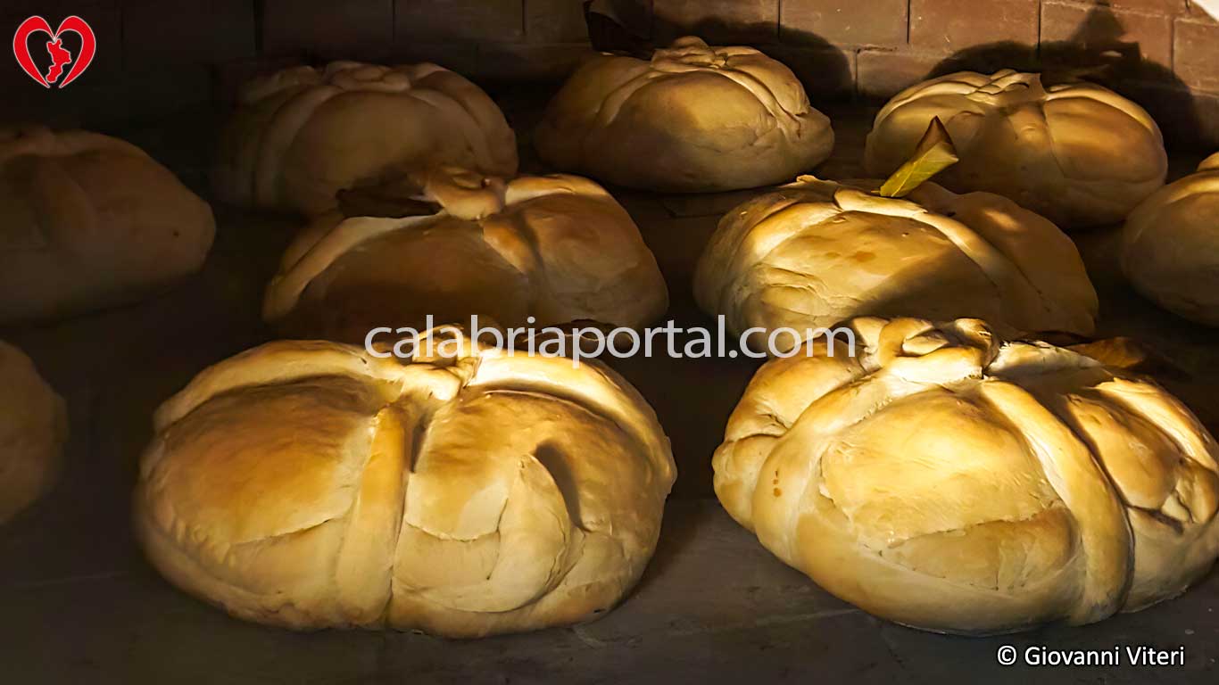 Cottura dell'Impiulato nel Forno a Legna Cottura dell'Impiulato nel Forno a Legna