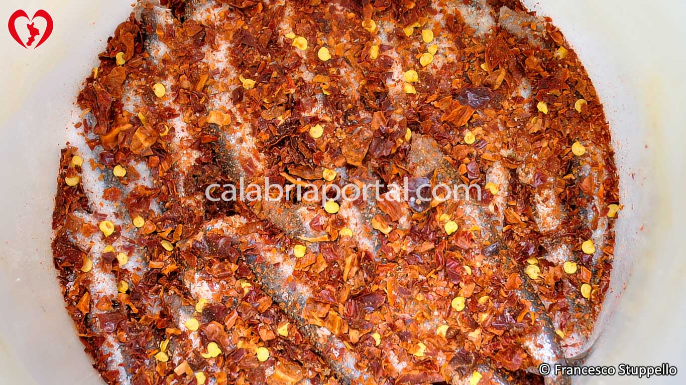 Ricetta per fare le Alici Salate: cospargete i pesci con il peperone a scaglie Ricetta per fare le Alici Salate: cospargete i pesci con il peperone a scaglie