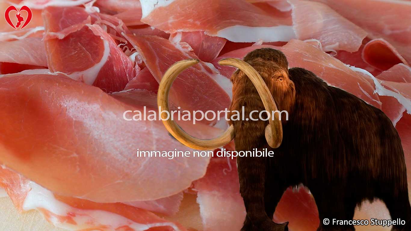 Prosciutto Mammut del Pollino