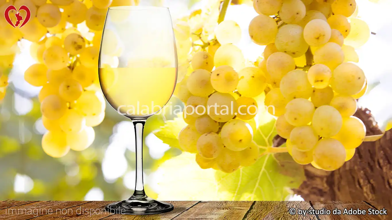 I Vini Calabresi