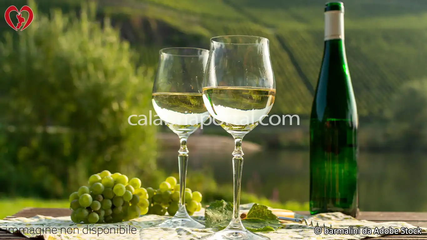 Vino Lamezia Greco Vino Lamezia Greco