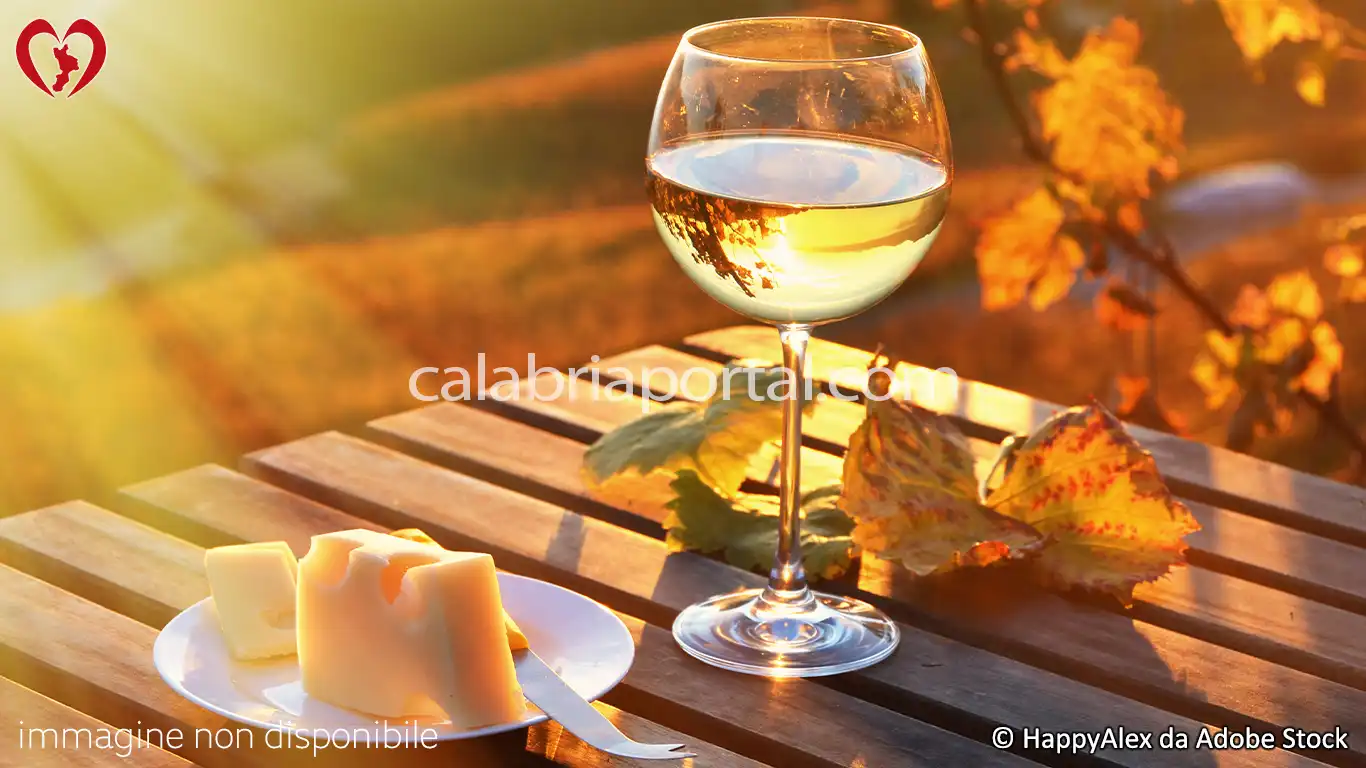 Vino San Vito di Luzzi Bianco