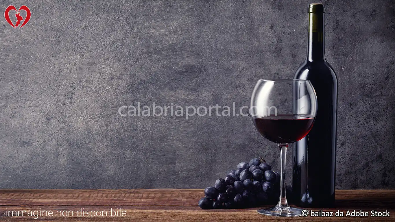 Vino San Vito di Luzzi Rosso