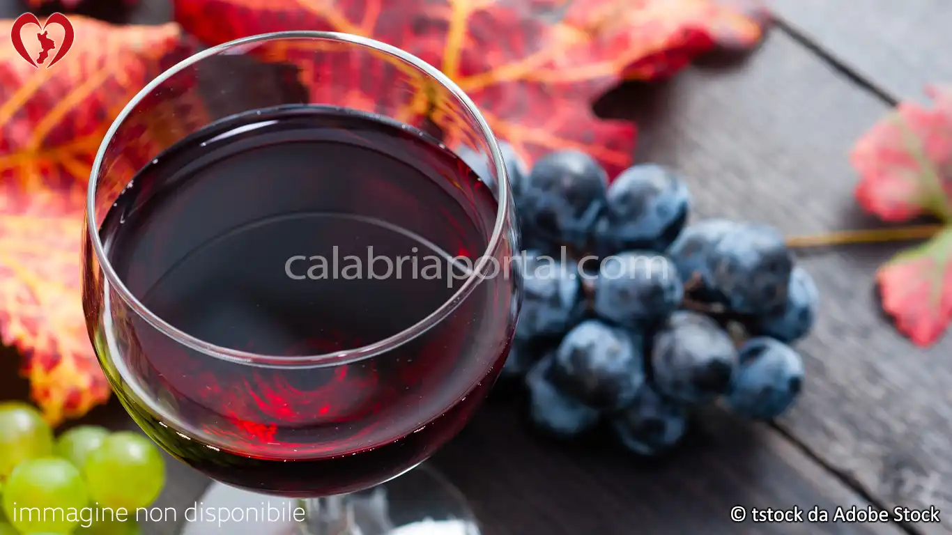 Vino Donnici Rosso Vino Donnici Rosso
