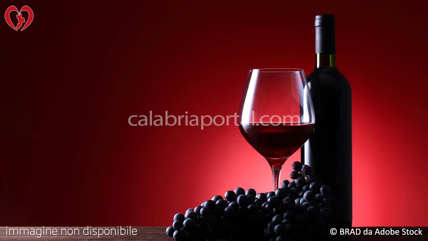 Vino Cirò Rosso