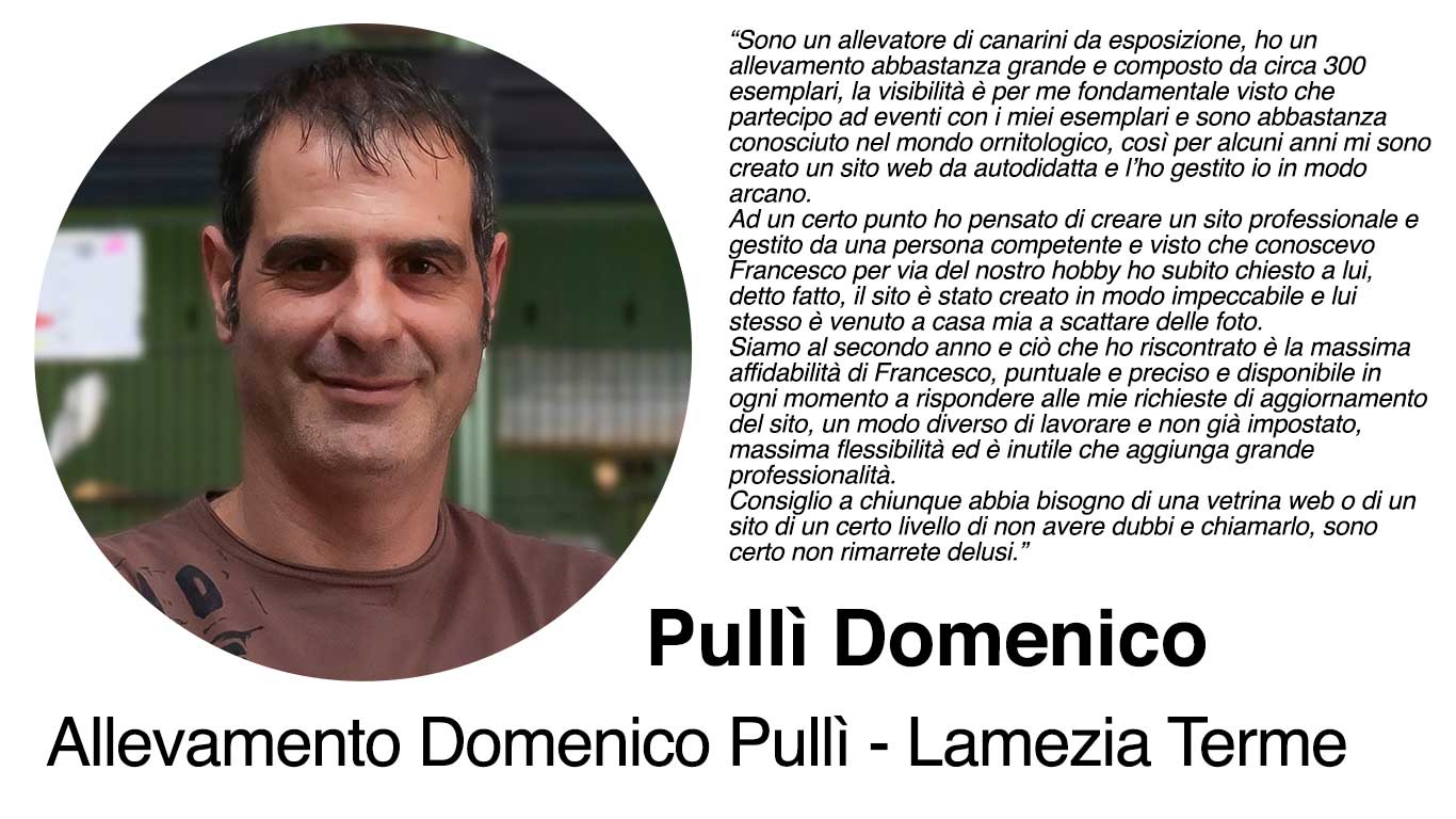 Domenico Pullì - Lamezia Terme (CS)