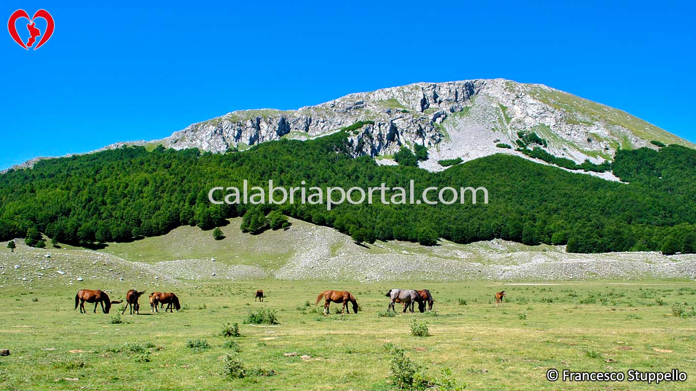 Monte Pollino Monte Pollino