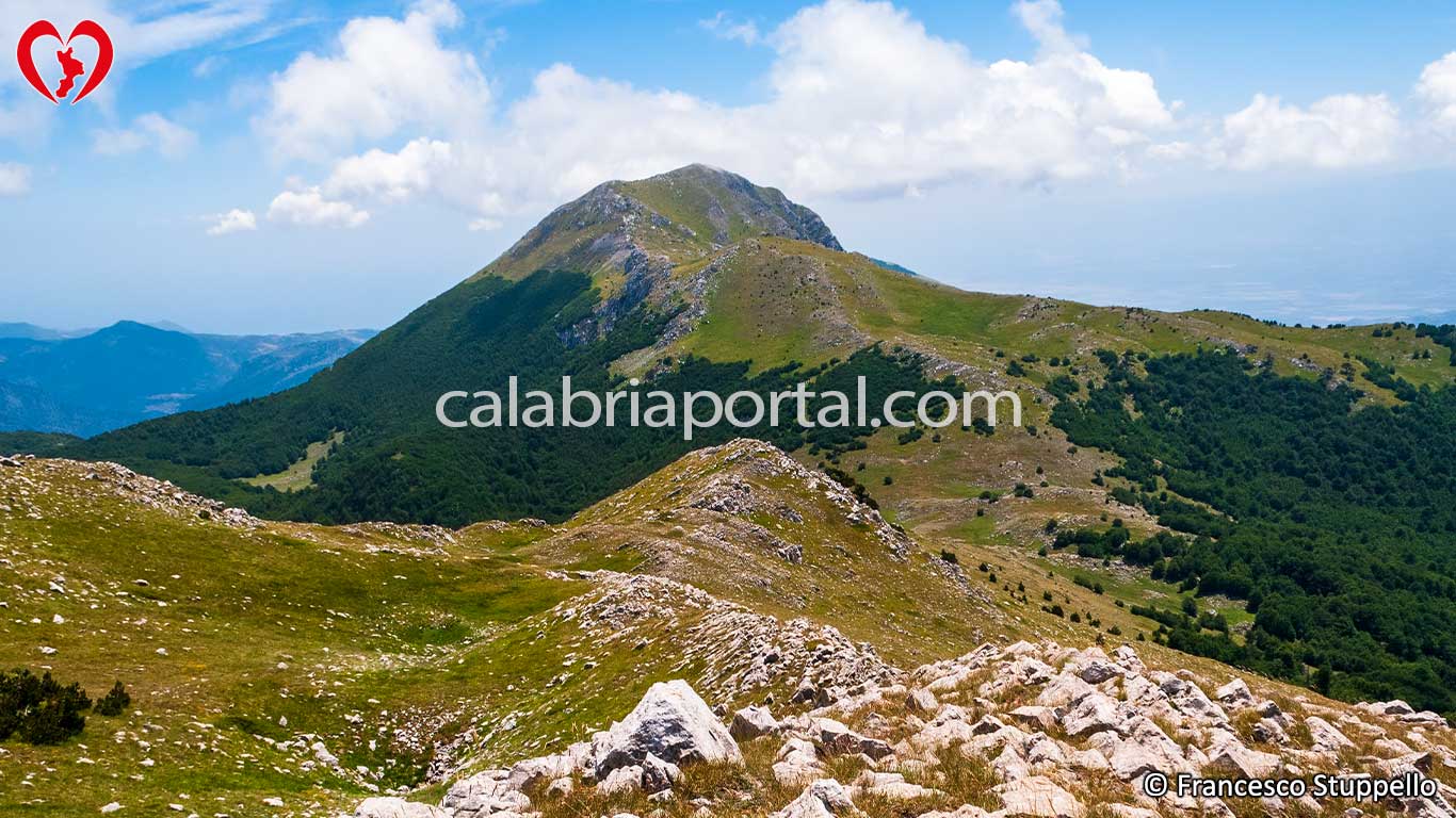 Monti più Alti